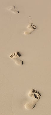 footprints