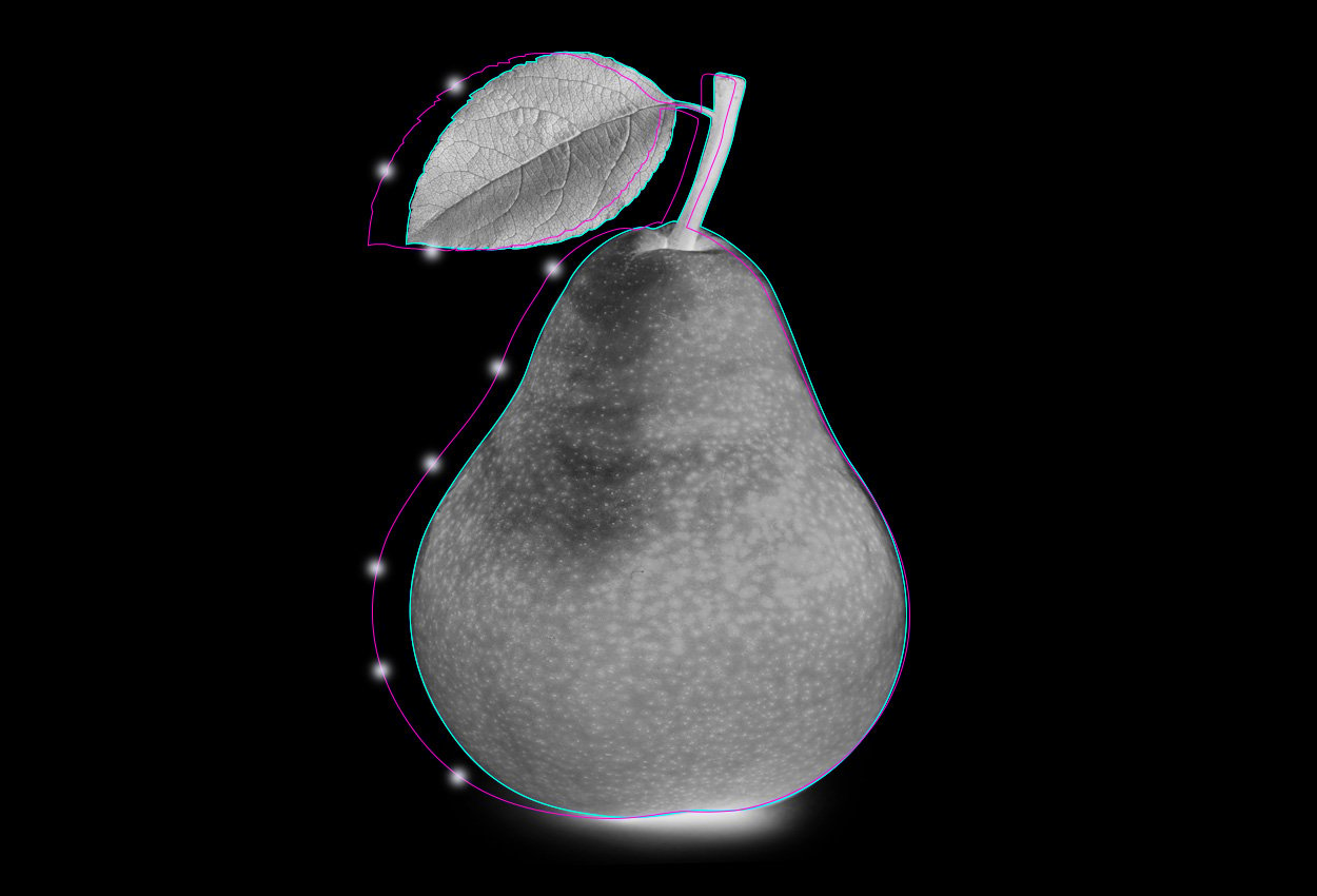 pear x-ray: artwork by Beekley Medical