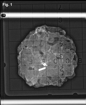 specimen-clip-fig1
