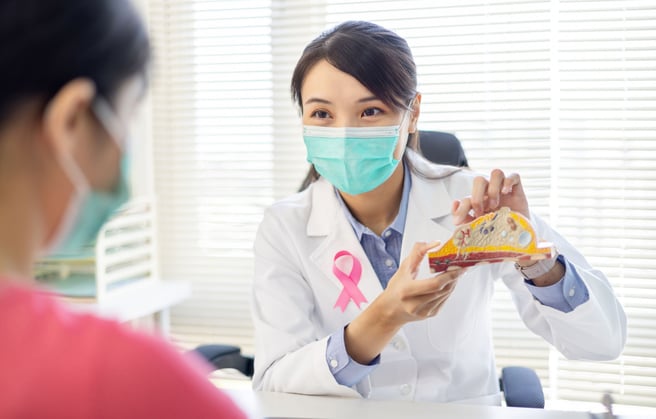 A doctor reviewing a model of a breast with a patient.