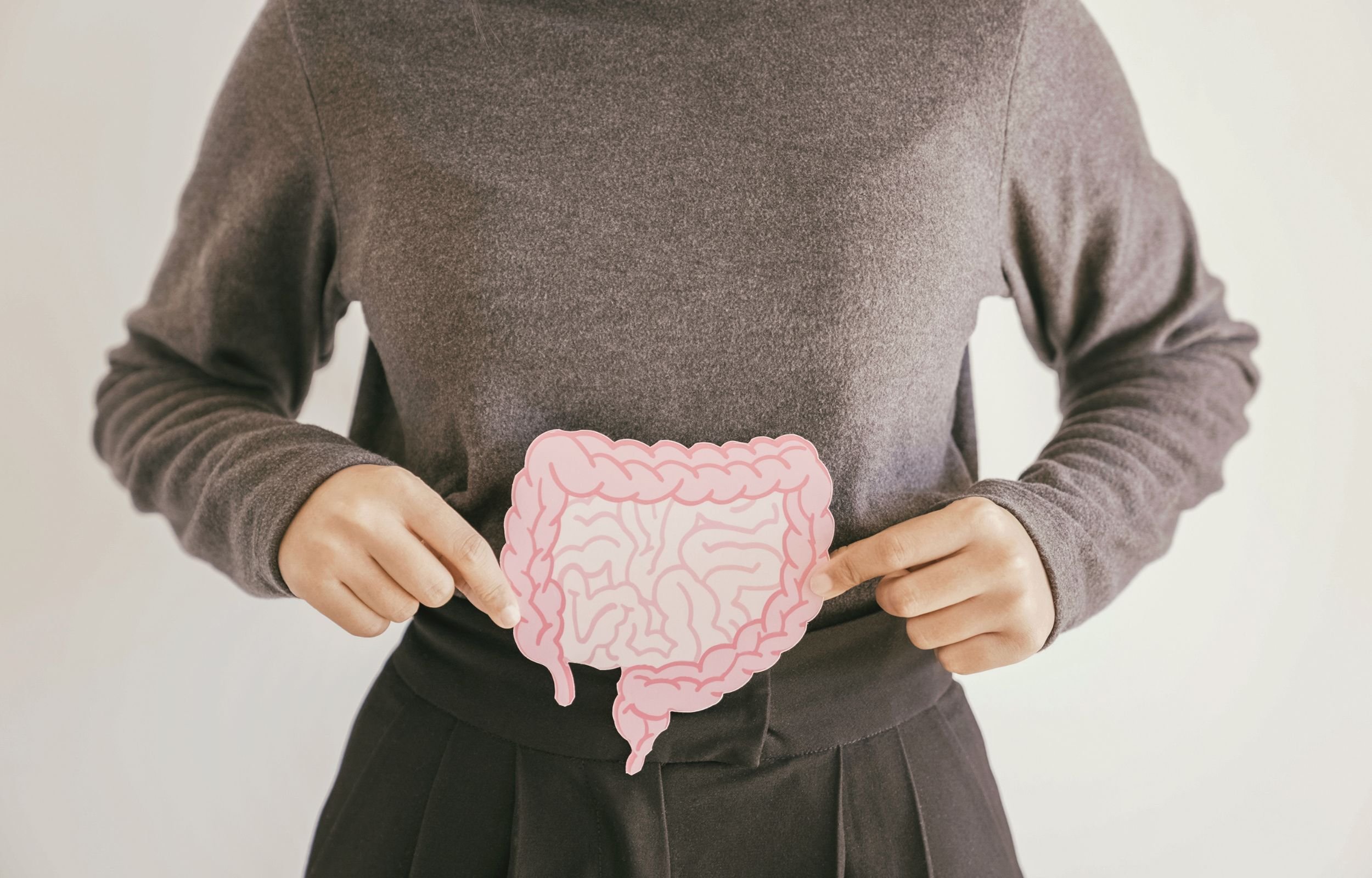 A person holding a cut out diagram of small and large bowels
