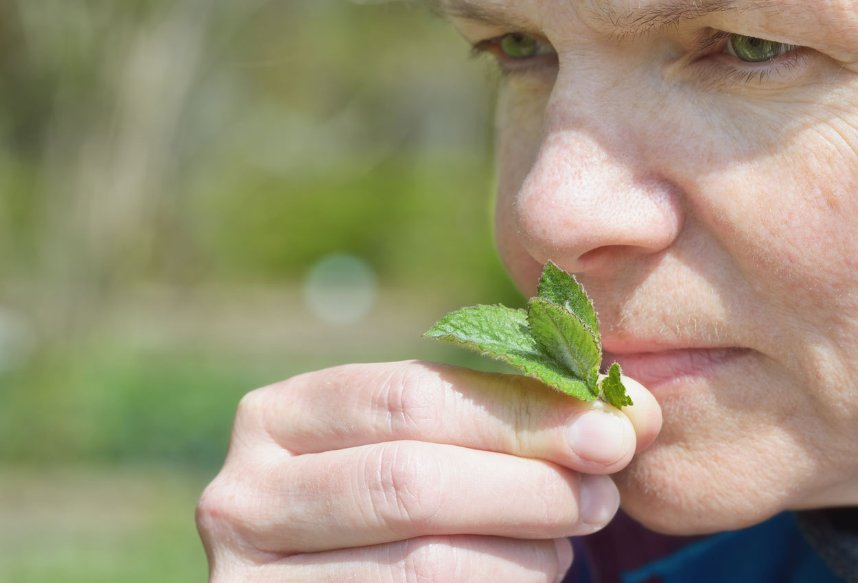 Recovering Sense of Smell After COVID-19