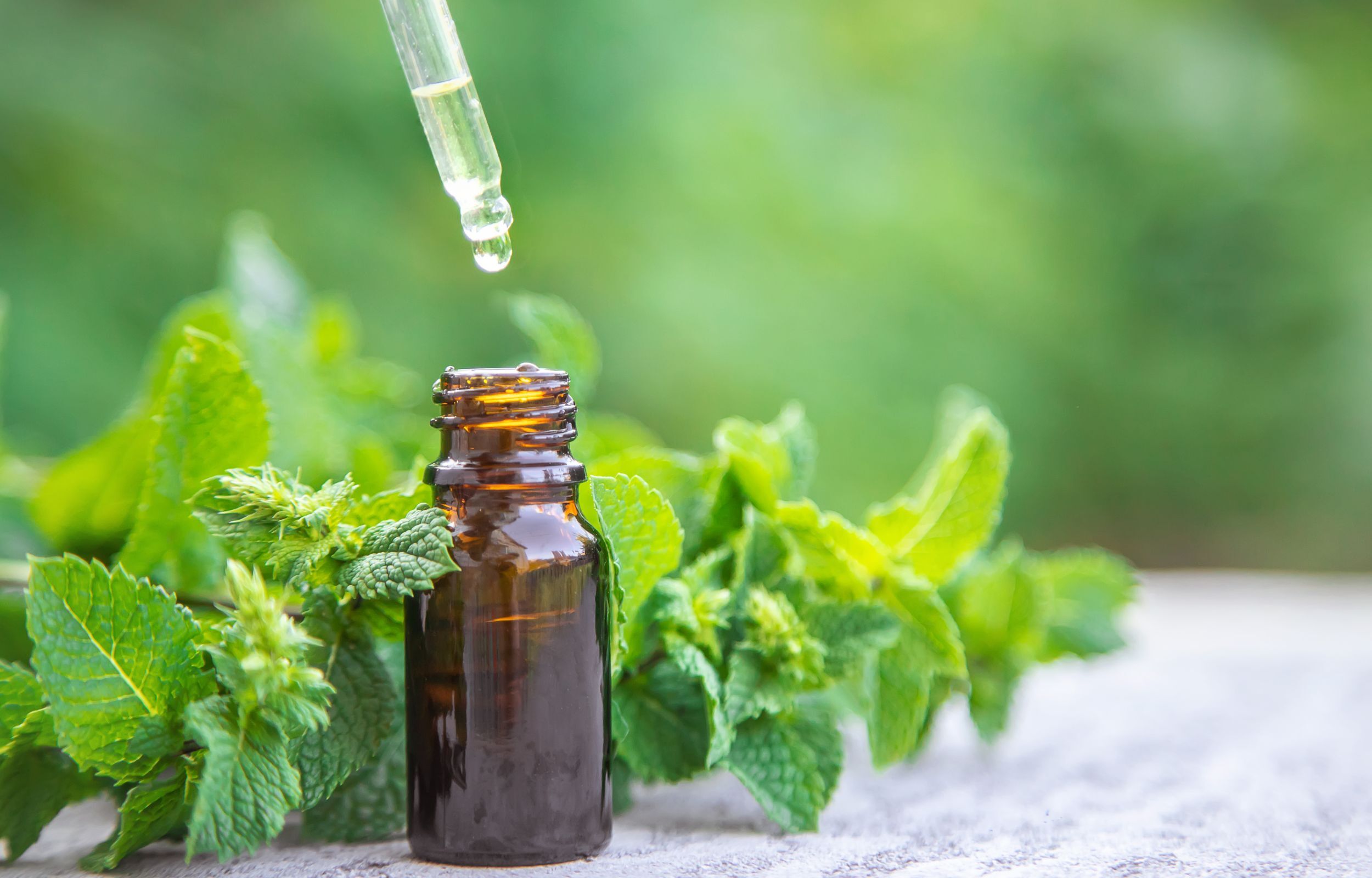 Debunking the Myth: Peppermint Aromatherapy and Atrial Fibrillation